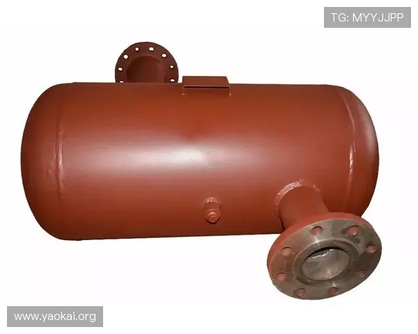 了解凯发首页地址的多种功能及其为用户带来的便捷体验和操作指南 了解凯发首页地址的多种功能及其为用户带来的便捷体验和操作指南